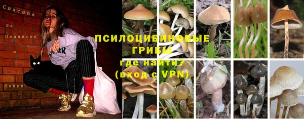 стафф Белокуриха
