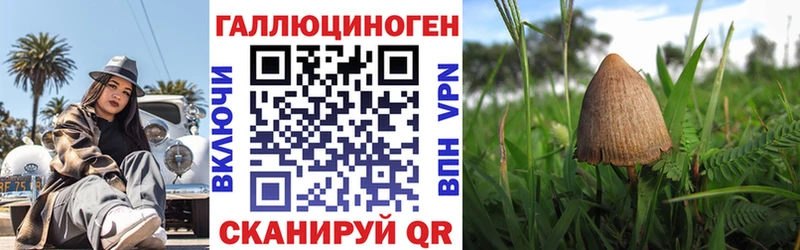Галлюциногенные грибы Magic Shrooms  omg ссылка  Волгореченск 